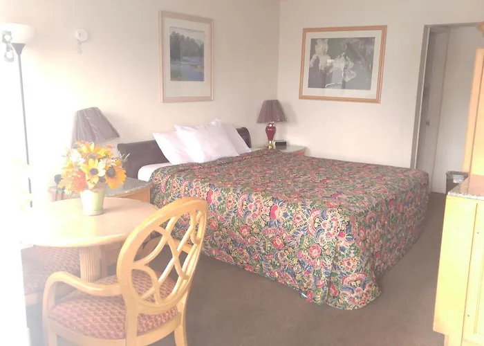 Pet Friendly hotel: Parkway Inn