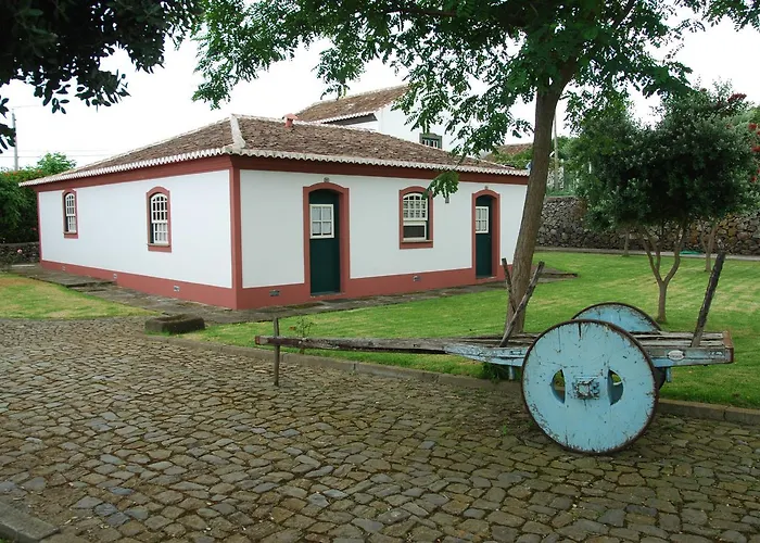 Quinta Dos Figos "5 Trevos Gold"