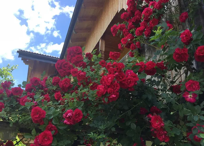  B&B Ciasa Bruescia