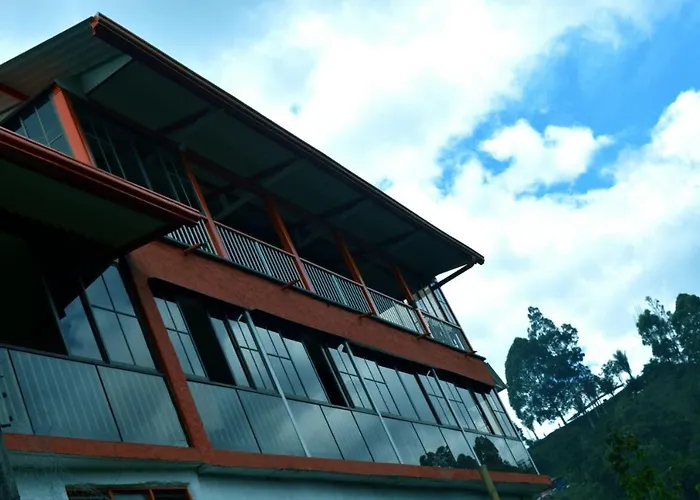 Mirador De Los Cedros