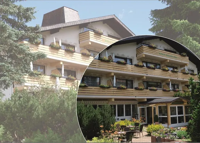 Forsters Schwarzwald Hof - Resort-Hotel&Pension