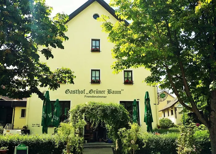 Hotel Am -Landgasthof Grüner Baum - Dittigheim
