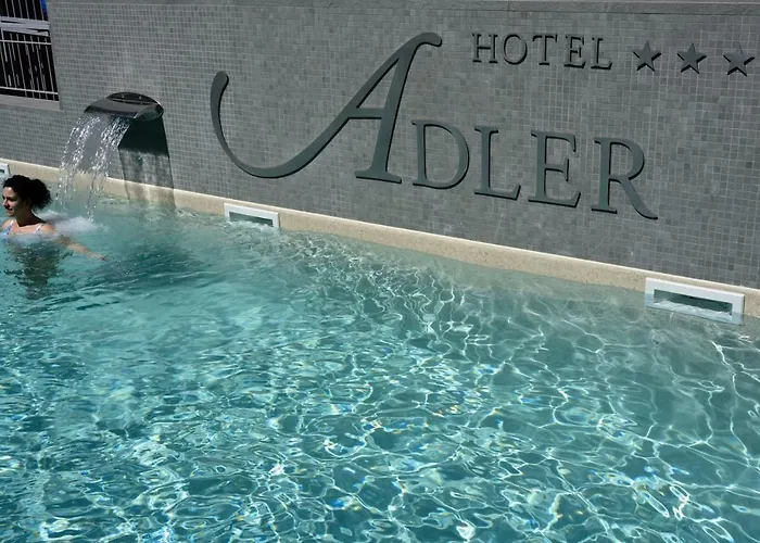 Hotel con piscina: Hotel Adler