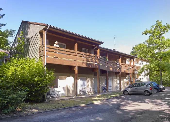 Grands Chênes du Parc