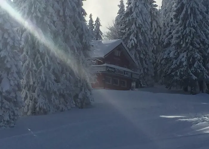 Auerhahn