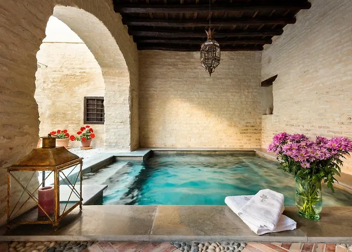 Pets Allowed Hotel Palacio Bucarelli