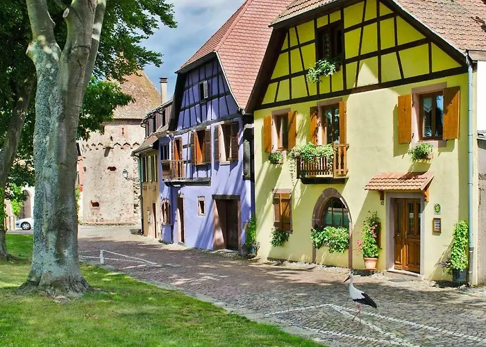 La Maison Jaune