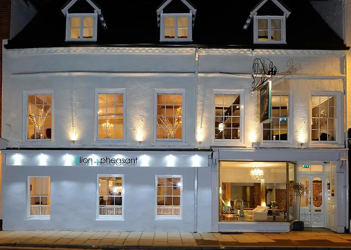 Lion & Pheasant Hotel