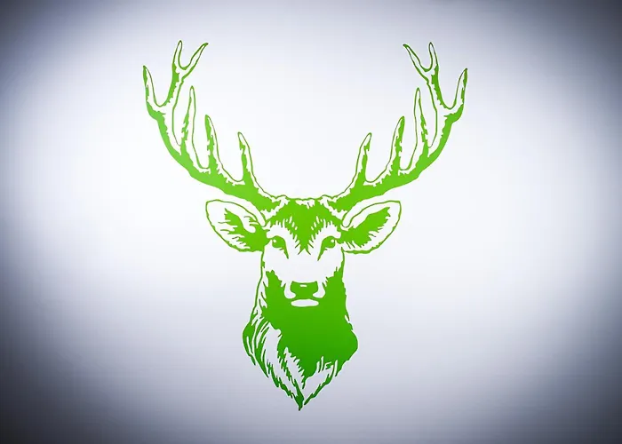 Bestharzinn